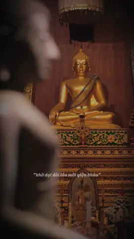 Con về cúi lạy Đức Thế Tôn #tuetam9519 #tuetamhocphat🍀 #xh #phatphapnhiemmau #nammobonsuthichcamauniphat 