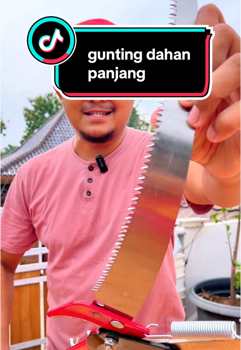 Membalas @asekha asekha gunting gergaji dahan panjang #guntingdahan #guntingranting #gergajidahan #guntingdahanpanjang 