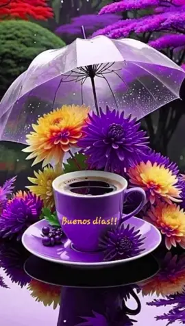 #CapCut #buenasbuenas #gentemaravillosa #findesemana #positivodia #saludos #sabadito #buenosdiasmundo #buenosdias #abrazosgratis #sabor #bendiciones 