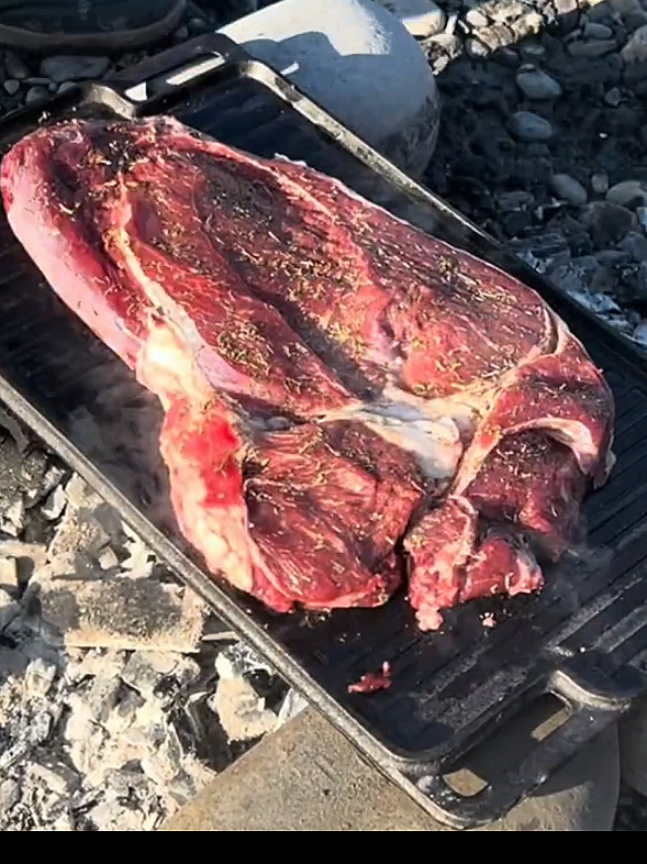 Grilled steak 🥩🔥🪵🌳🏕️ #nature #camping #outdoorcooking 