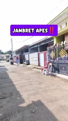 Jambret Apes,Ternyata Lebih Suhu Yang Di Jambret ,, #fypシ #ngakak #kocakk #viral #komedi #parodi #fy #fyppppppppppppppppppppppp  #lucu #ngakak #viraltiktok #trending 