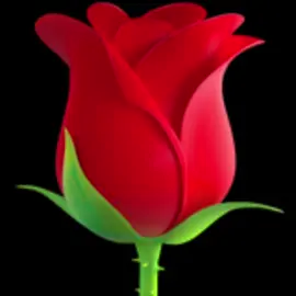 All Rose Emoji 🌹 #emoji #🌹 