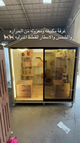 #fyp #اكسبلور #dog #explore #قطط #foryou #pet #شيرازي #سكوتش_فولد #قط #سكوتش_ستريت #قطط_هملايا #fyp 