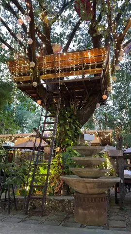 Step into nature-inspired cafe, where lush greenery and soothing colors create a serene atmosphere, inviting you to unwind and connect with nature. 📍Tinatangi Cafe Dasmariñas Cavite ☑️ Rice meals ☑️ Pastries ☑️ Coffee ☑️ Wifi ☑️ Parking Store hours: Open daily from 7am-12mn #followformore #whereto #cafe #coffeeshop #recos #newcafe #newrestaurant #FoodTok #coffeetok #travel #wheretovisit #dateideas #rides #musttry #places #PlacesToVisit #follow #rizalgirly 