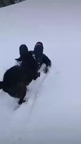 #creatorsearchinsights #sailung #foryoupage #tranding #khadka_kazee #viral #nepalitiktok 