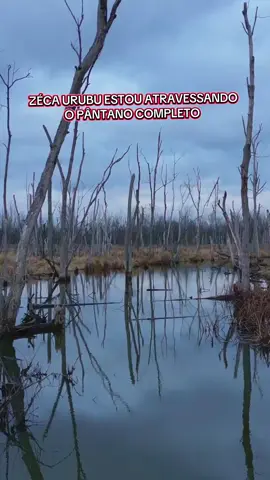 Zéca urubu estou atravessando o pantano completo #foryou #zecaurubu 