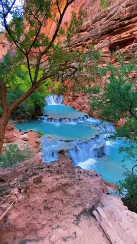 📍 Beaver Falls🩵 I wish everyone could see this heavenly place in person😍 Videos don't do justice to such beauty. Arizona has so many unique and unparalleled places that are worth exploring.#arizona #arizonastate #havasupai #supai #beaverfalls #grandcanyon #exploringnature #naturelovers #waterfallsoftiktok 