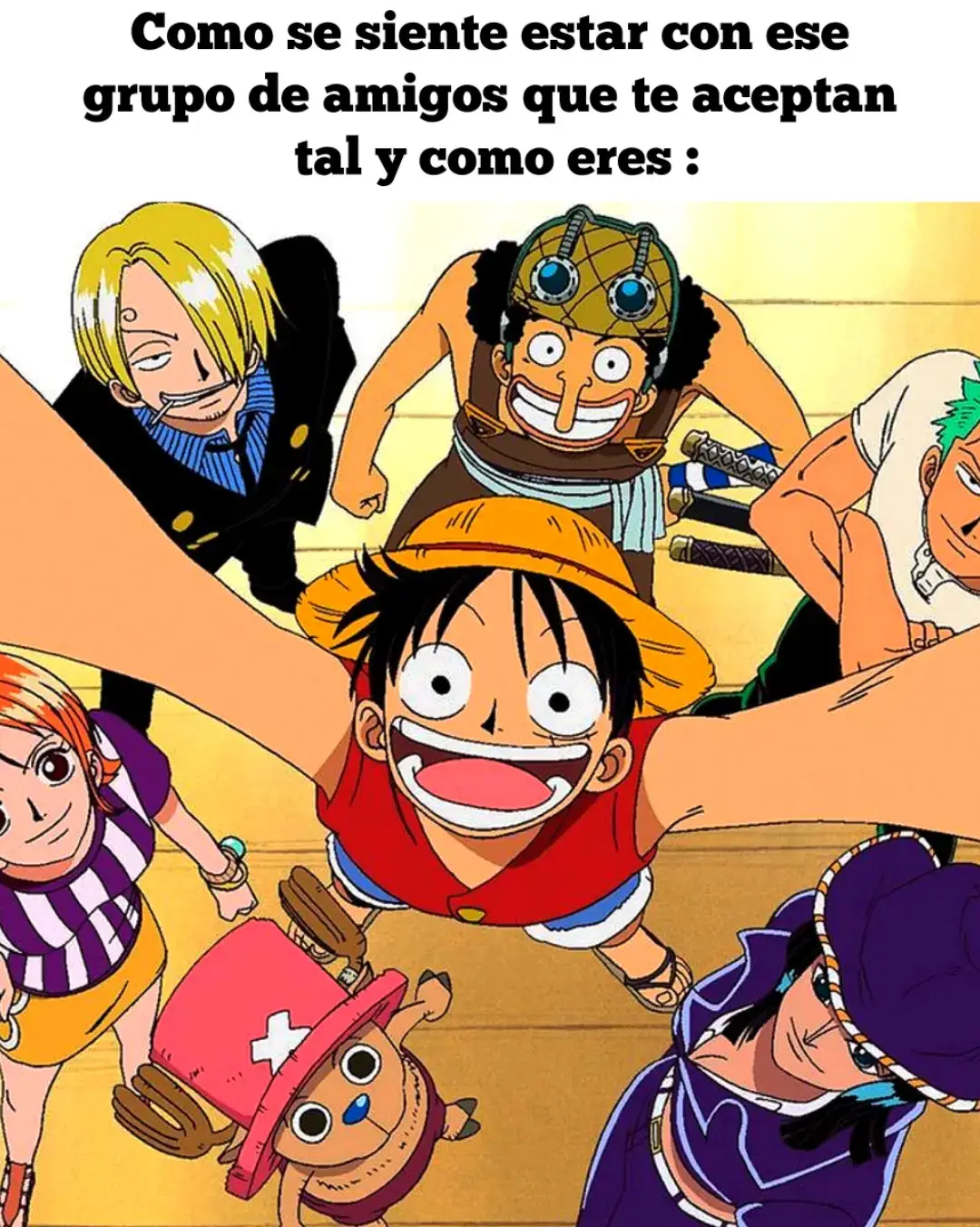 #luffy #zoro #sanji #nami #usopp #nicorobin #tonytonychopper #monkeydluffy #onepiece 