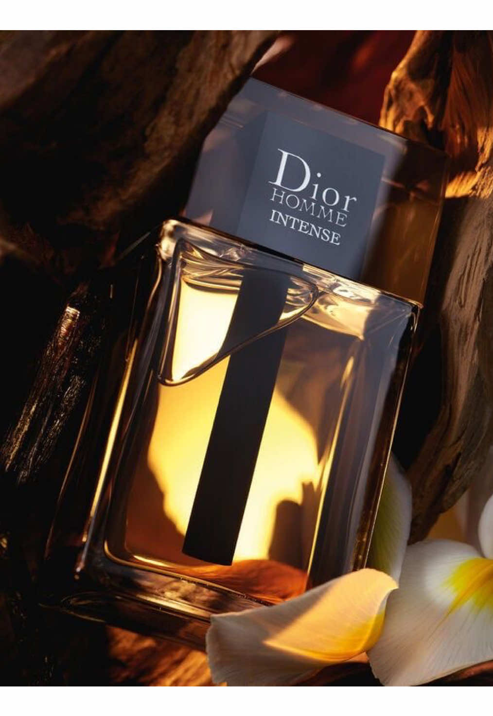 BEST MENS FRAGRANCE FOR MEN ACCORDING TO WOMEN?!!!  Is it worth the hype??? #diorhommeintense #mensfragrance #designerfragrance #smellgood #otunbadami #jeremyfragrance #fyp #viralvideo #fragrancereview #mensselfcare 