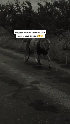 #fyp #fyp #fyp #fyp #fyp #fyp #fyp #fyp #fyp #fyp #fyp #fyp #fyp #fyp #fyp #fyp #fyp #fyp #fyp #fyp #fyp #fyp #fyp #fyp #fyp #fyp #fyp #fyp #fyp #fyp #fyp #fyp #fyp #fyp #fyp #fyp 