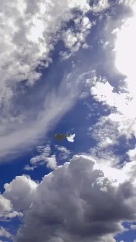 Mamá! 🖤🕊️😭 #miangeldelcielo  #mamateextraño  #tristeza😢💔 #fypp 