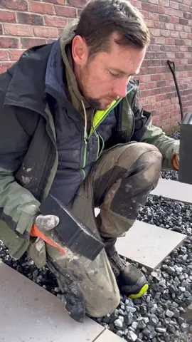 Trying something new #garden #landscaping #creatorsearchinsights #gardentok 