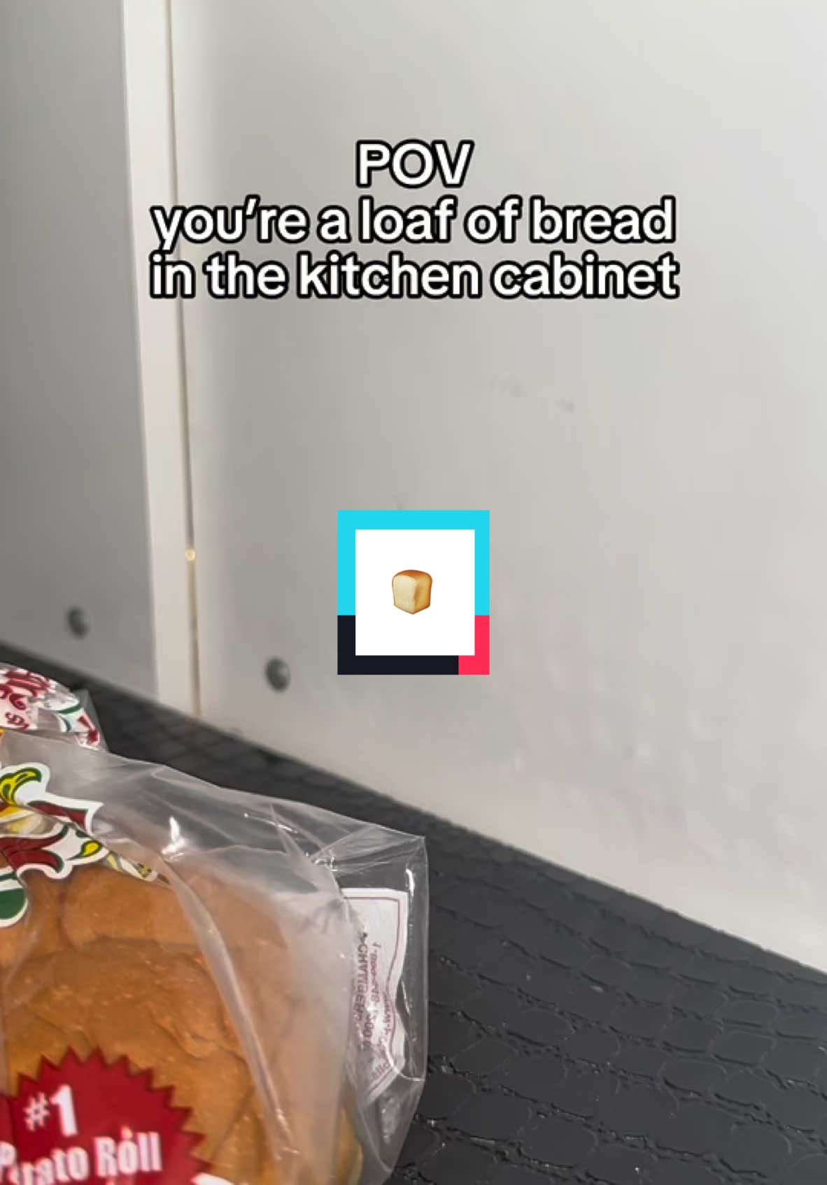 being bread in my house must be terrifying 