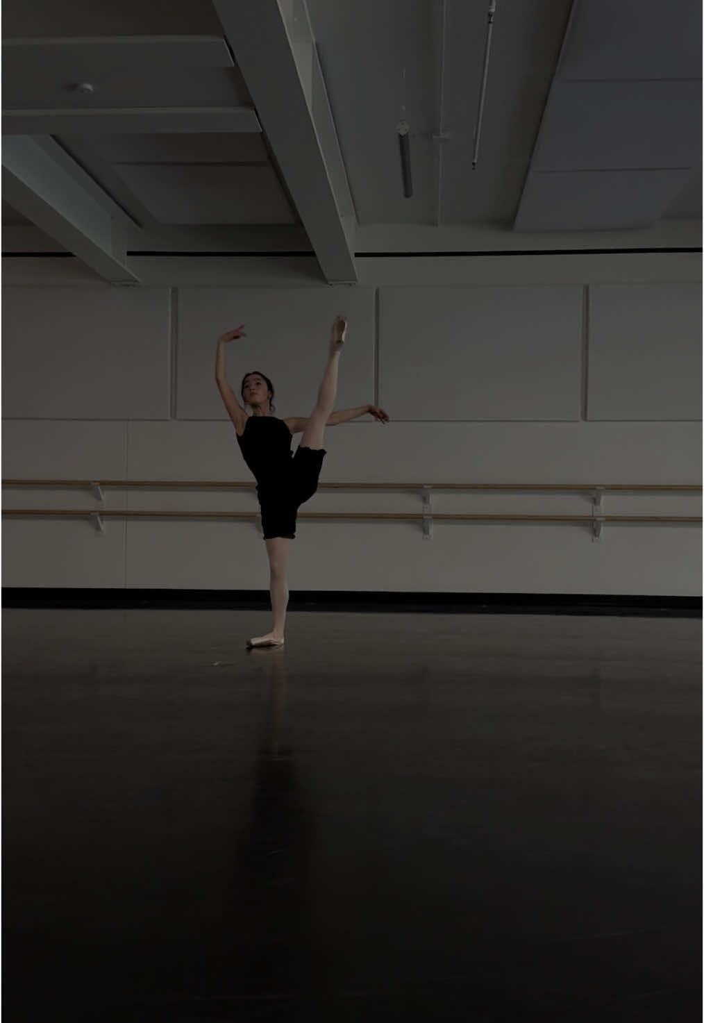 🩰 #ballet #balletdancer #dance #dancer #ballettok #lanadelrey #artdeco @BodileBallet 