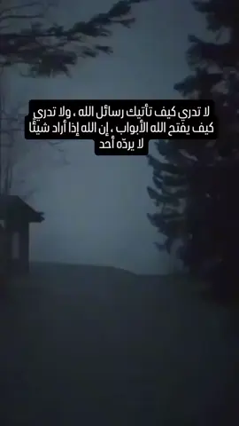 #القرأن_الكريم_راحة_نفسية ❤️❤️❤️❤️❤️❤️❤️❤️