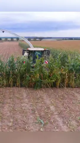 #ploughing