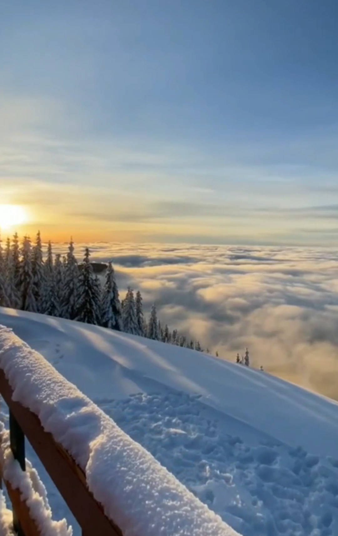 Snow  ... #viral_video #lonely #paisagem #lyrics_songs #fyp #song #relaxing #vibe #lyric #status #snow #neve 