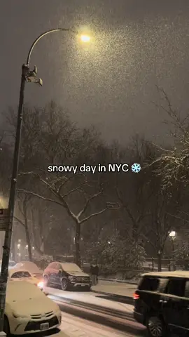 lindo & frio & lindo & não tava preparada 🤍⛄️❄️ #newyork #ny #nyc #novayork #snow 