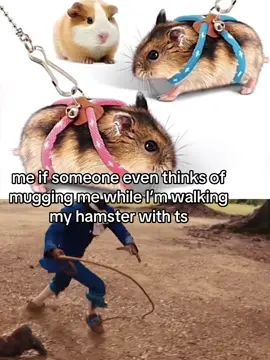 definitely losing the hamster but it’s a sacrifice I’m willing to make 😭😭💔✌️ #real #relatable #mefr #literallyme #mistpost #tiktok #fyp #trending #tiktok #viral #meme #joke #humor #satire #thugpost #landlord #typeshi #fyppppppppppppppppppppppp 