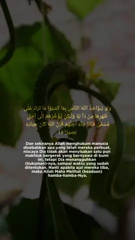 QS Fathir 45 #murotalquran #murotalmerdu #quran_alkarim #CapCut 