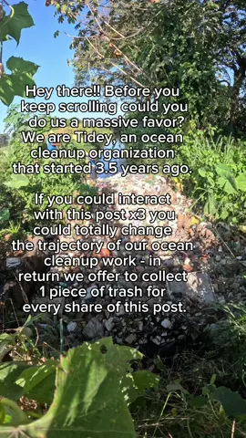 Thanks for everyone’s support! So far we’ve collected over 450,000 pounds of plastic! We hope to collect much more!