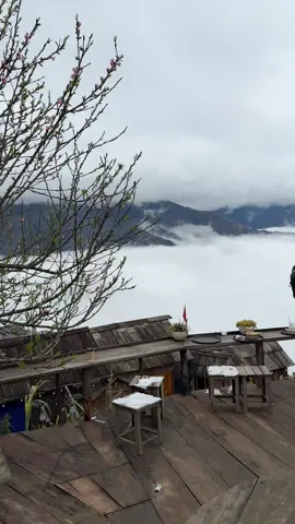 Cập nhật thời tiết ở tà xùa hôm nay đã có biển mây #taxua #thienduongmaytaxua #sanmaytaxua 