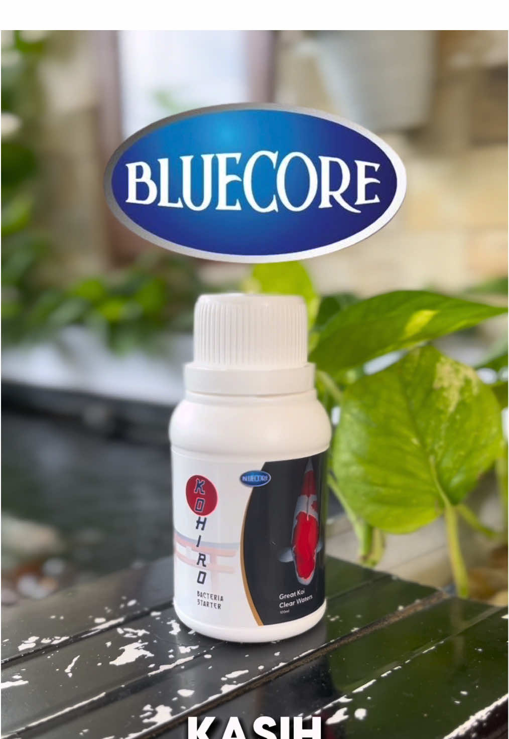 Kohiro bakteria starter dari Bluecore.id #kolamjernih #bakteristarter #ikankoi #koiindonesia #kolamkoi #mediafilter #fyp 