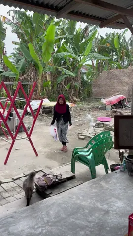 Istri abg baru pulang belanja