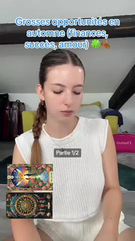 N'hésitez pas à me contacter en privé via WhatsApp au 33 7 45 73 97 58 pour des tirages privé. #voyance #voyancemedium #pourtoi #voyancespirituelle #lea #france🇫🇷 #tirage #sentimental 