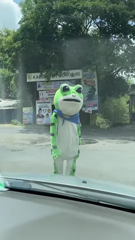 Kodok agomo #fyp #fypシ゚ #fyppppppppppppppppppppppp #wonogiri24jam #slogohimo #wonogirihits #agomongayomijagatroyo 