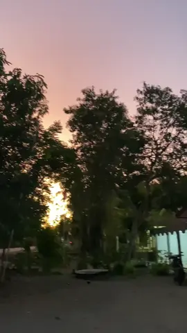 #5tp_jupiterz #jupiterz #jupiterburhan 