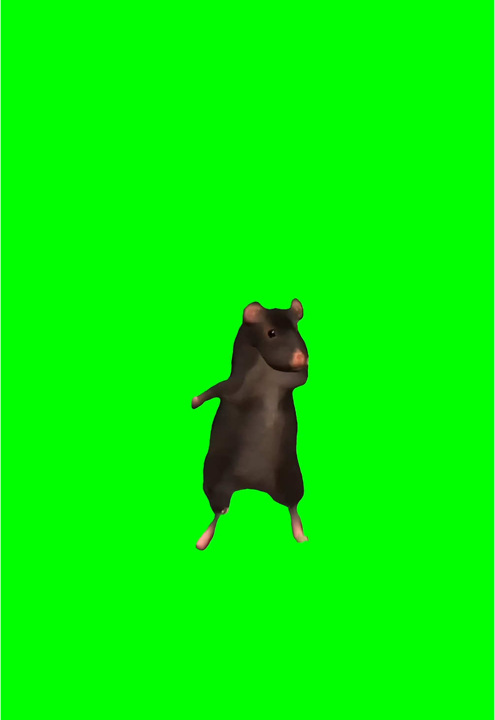 Rat Dancing Meme Green Screen #discord #capcut #procreator #fyp #meme #viralgoals #protemplates #greenscreen #viral #trend #memecut #meme #trend. #rat #dancingrat 