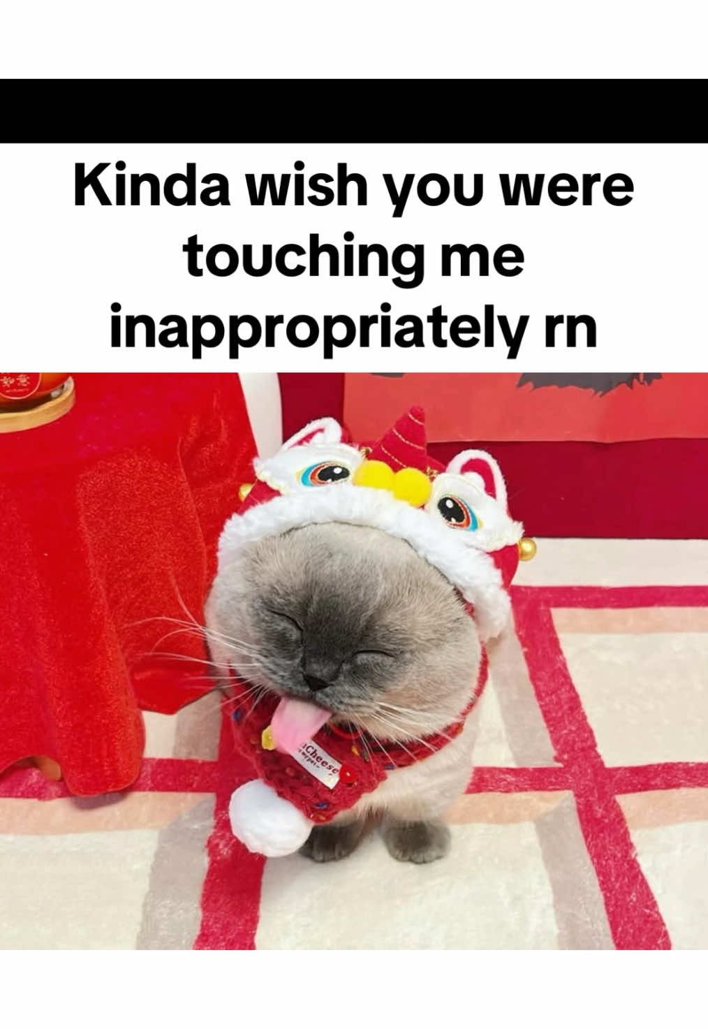 #fypシ #cats #xiaojie #xiaojiecat #freaky #ily #pookie #kittens #freakycatcore #catcore #kitten #capcut