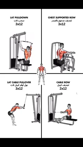 The Best Back Exercises: أفضل تمارين الظهر: #تمارين_الظهر #تمرين_ظهر #تمارين #جيم #backexercise #backworkout #GymTok 