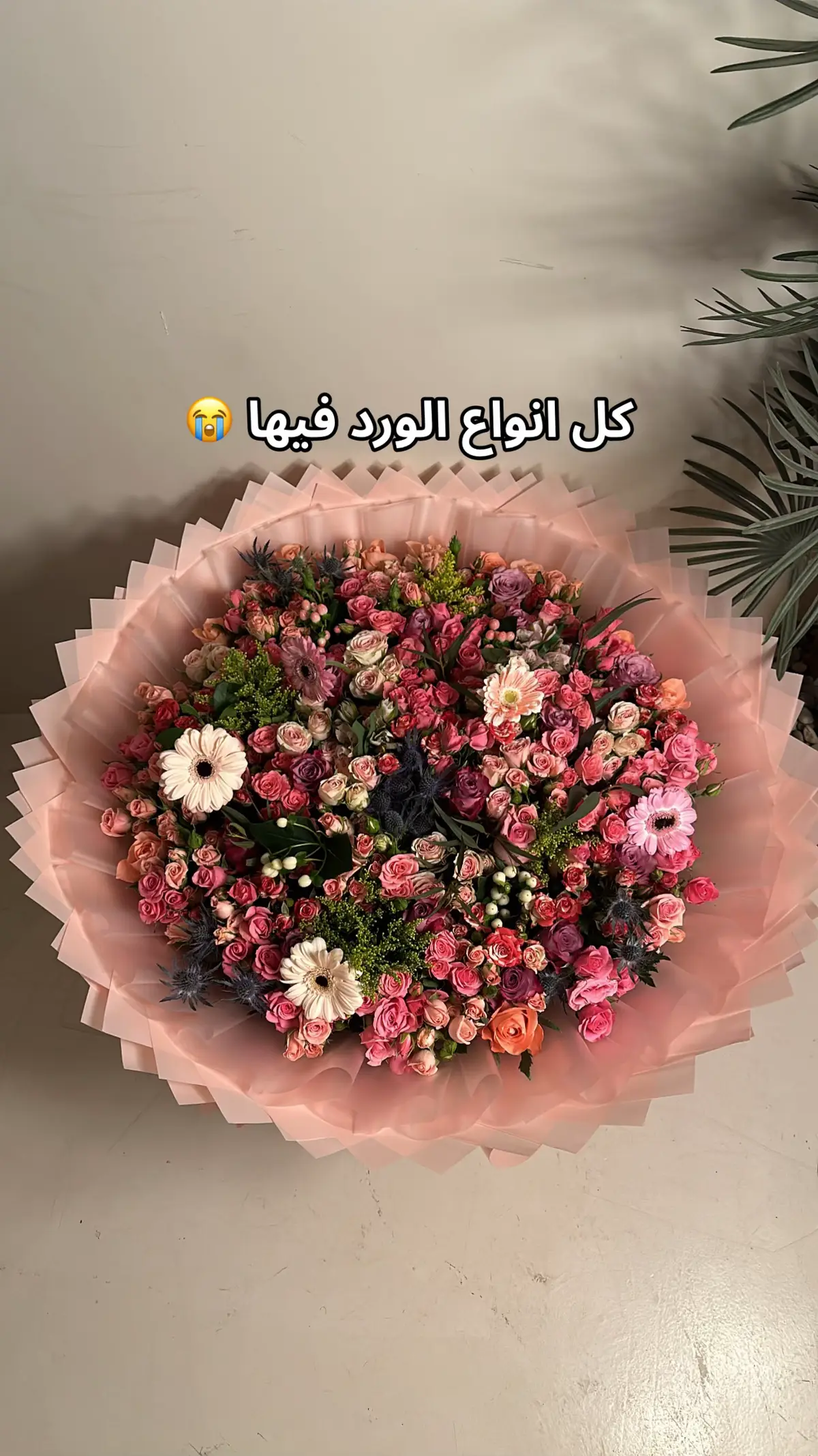 باقة ورد كبيررر مكسس #هدايا #اكسبلور #ورد 