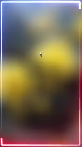 晚上好，朋友们！