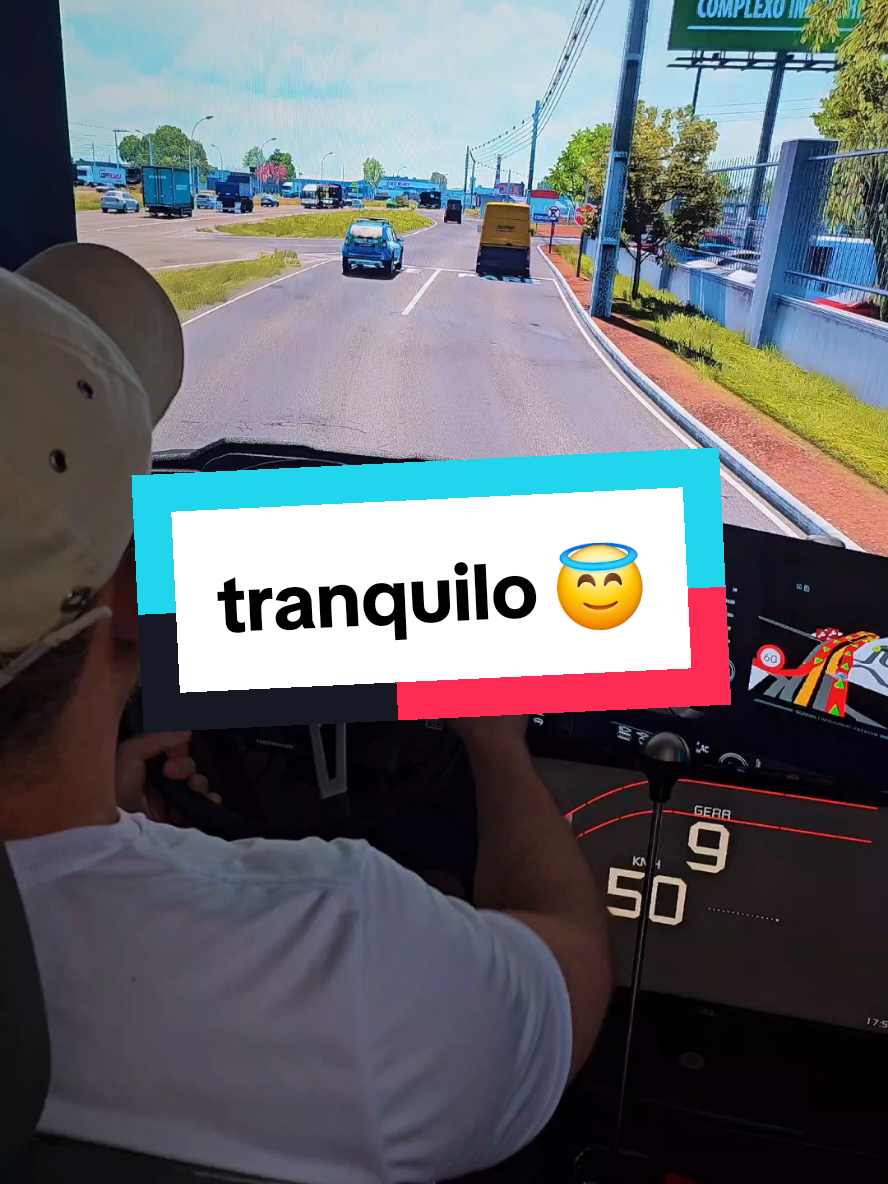 tranquilo na estrada 😇 #eurotrucksimulator2 #games #gamer #game 