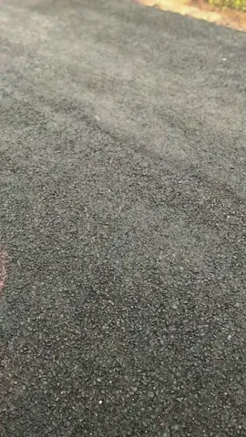 podo ngapa ow #cb #cbindonesia #cbgank🤙 #icikiwir #masukberanda #fyppppppppppppppppppppppp #trend #xybca #fypシ゚viral 