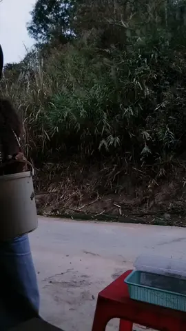 #🥰🥰🥰🥰🥰🥰🥰🥰🥰🥰🥰🥰🥰🥰 #xuhuongtiktok #