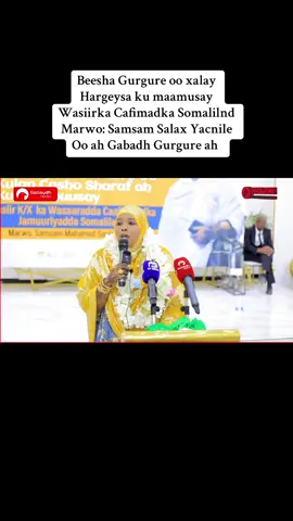 Beesha Gurgure oo xalay Hargeysa ku maamusay Wasiirka Cafimadka Somaliland Marwo: Samsam Salax Yacnile Oo ah Gabadh Gurgure ah❤️ #somalitiktok #Gurgure #somaliland 