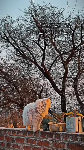 #unkhnow_person 