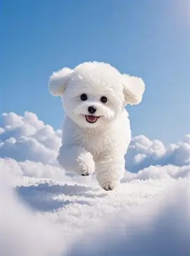 #cat #dog #wallpaper #fondosdepantalla #ai #aiart 