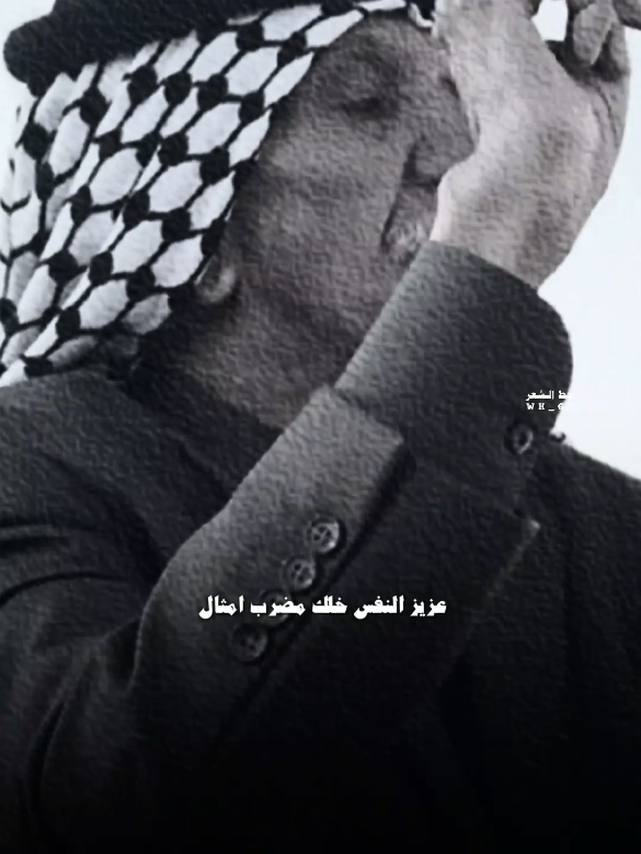 وترهدن بالمشي من تطب ديوان #شعراء_الجنوب  #بيج_خط_الشعر #خط_الشعر #شعراء_وذواقين_الشعر_الشعبي #قناتي_تليجرام_بالبايو💕🦋 #شعراء_الجنوب #قتباسات #الشعب_الصيني_ماله_حل😂 