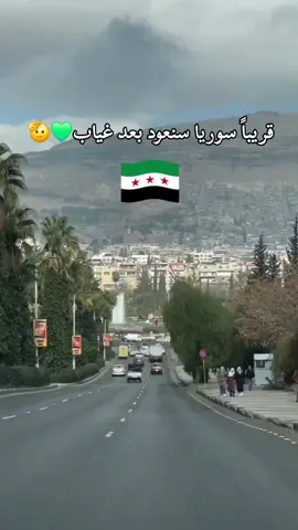 #سوريتي حبيبتي 🫡💚🤍🖤