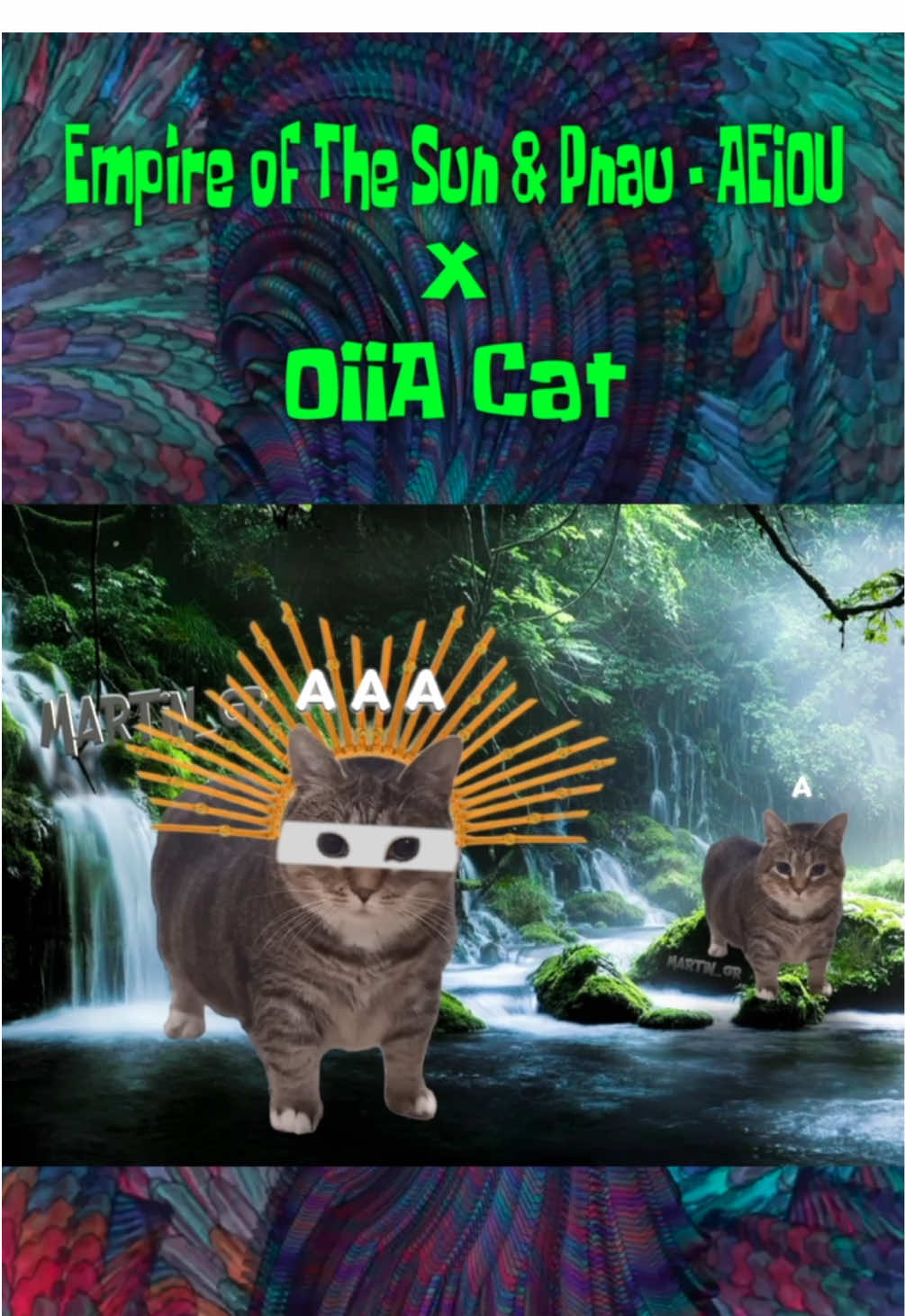 OIIA Cat x AEIOU by Empire of The Sun & Pnau @oiacatethel #oiia #cat #oia #oiiaiiooiiai #memes #foryou #fyp 