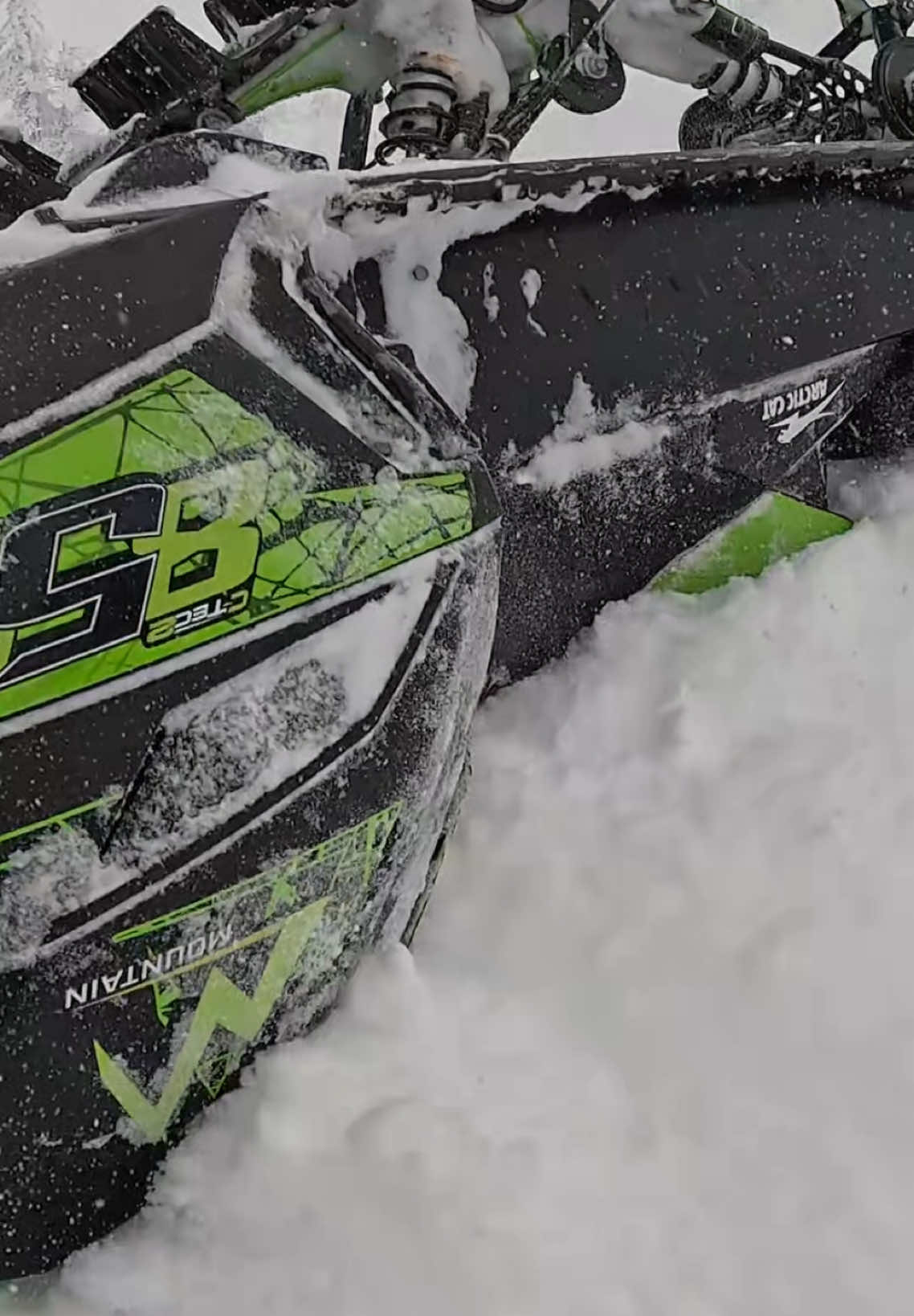 Kitty cat trying to take me out 🐱 