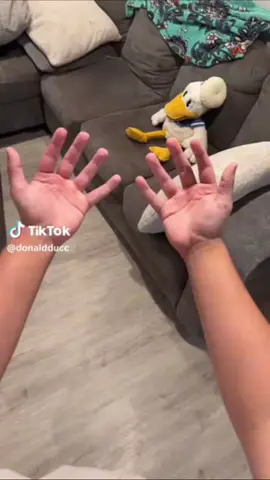 DonaldDucc [Reuploaded]