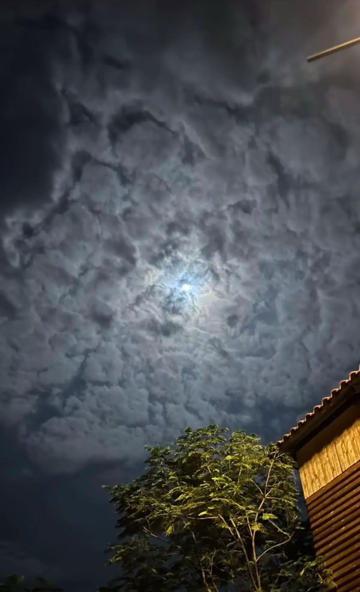 عشوواااائيااتت