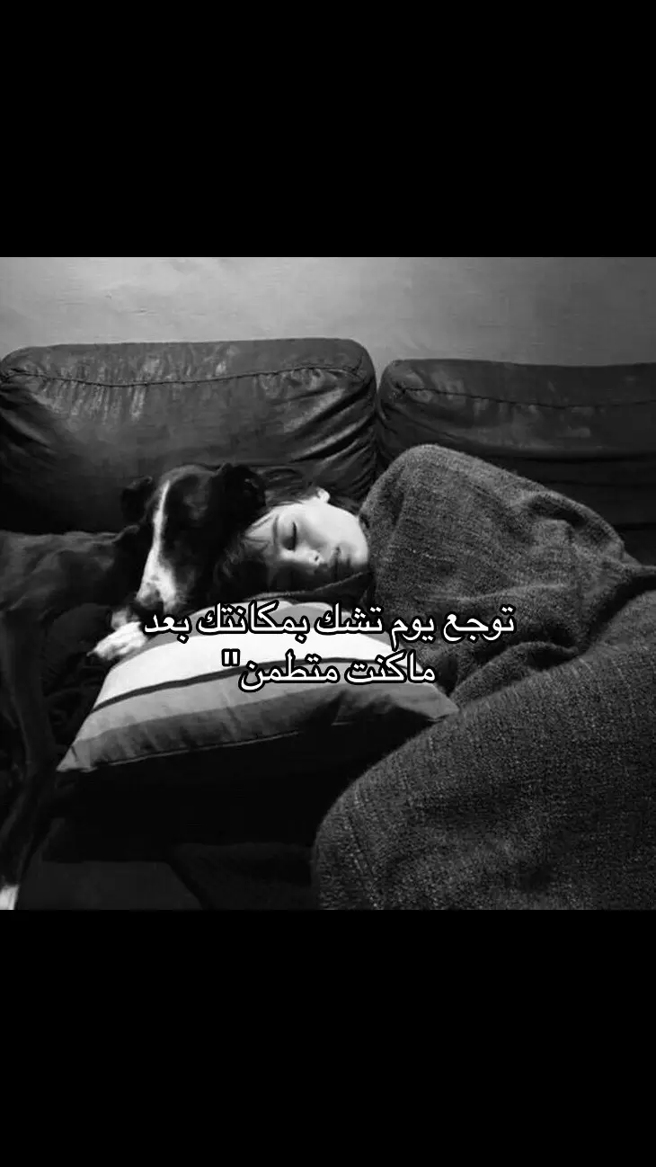 #اكسبلور 