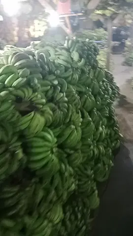 pasar induk gedebage #bandung  #banana 